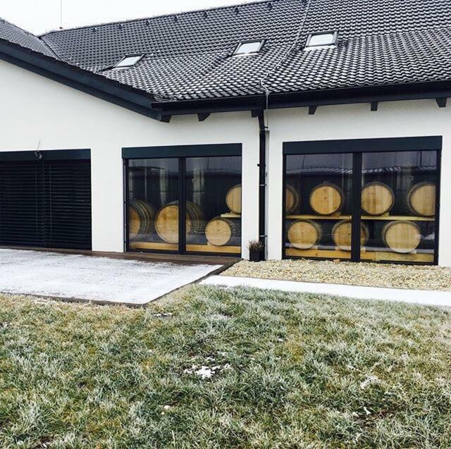 Penzion Vinarstvi Bilkovi Velké Bílovice Dış mekan fotoğraf